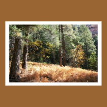 Canyon Floor posters