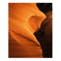 Canyon Glow posters
