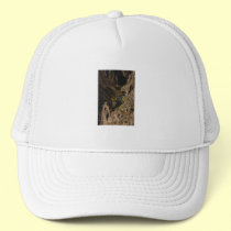 Canyon hats