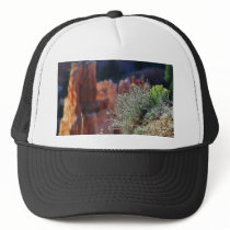Canyon Landscape hats