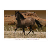 CANYON MUSTANG Art Print