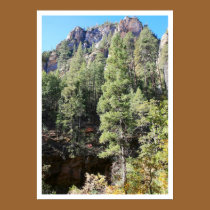 Canyon Pines posters
