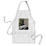 Canyon Stream Trees Kootenai Aprons
