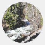Canyon Stream Trees Kootenai Sticker