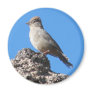 Canyon Towhee Fridge Magnet