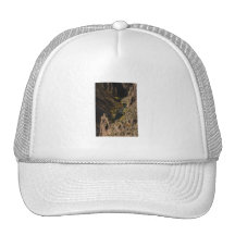 Canyon Trucker Hat