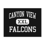 Canyon View - Falcons - High - Cedar City Utah postcards