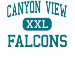 Canyon View - Falcons - High - Cedar City Utah t-shirts