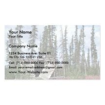 Canyon Village cache on the Porcupine River Business Cards