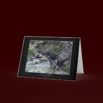 CANYON WOLF Greeting Card or Note Card by RavenSpiritPrints CANYON WOLF Greeting Card or Note Card
