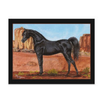 Canyon Wonder Arabian horse postcard by Fine_Art_of_Morgane Canyon Wonder Arabian horse postcard
