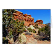 Canyonlands National Park Cards
