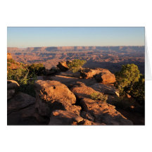 Canyonlands National Park - Needles Overlook Greeting Card