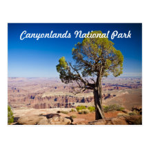 Canyonlands National Park Postcard