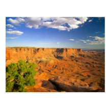 Canyonlands National Park, Utah, United States Post Card