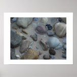Canyonlands Nat'l Park-Print