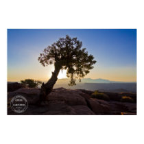 Canyonlands Sunrise Silhouette Poster