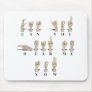 CanYouHearMeAmeslan062511 Mouse Pads