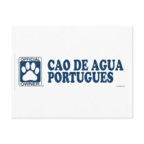 Cao De Agua Portugues Blue Post Card