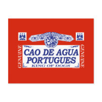 Cao De Agua Portugues Postcard