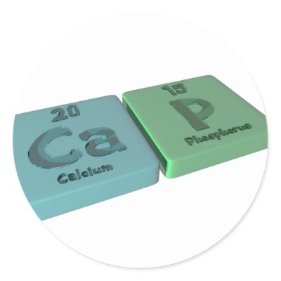 Calcium And Phosphorus