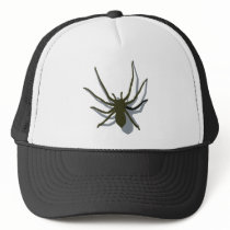 Cap with spider hats