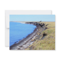 cape blossom 08 in kotz invitations