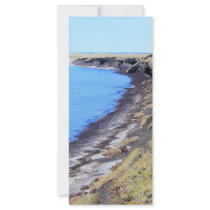 cape blossom 08 in kotz rack cards