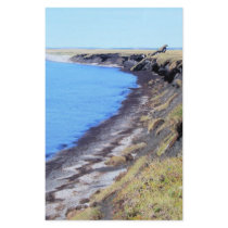 cape blossom 08 in kotz stationery