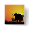 Cape Buffalo buttons