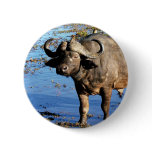 Cape Buffalo safari big 5 buttons &amp; badges