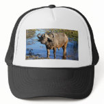Cape Buffalo safari hats & caps