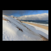 Cape Cod Beach and Dunes in Winter posters
