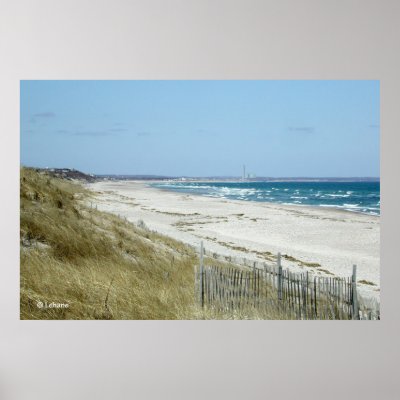 Cape Cod Beach poster