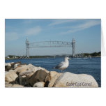 Cape Cod Canal Card