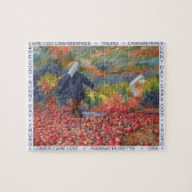 Cape Cod Cranberries Puzzle Game