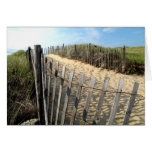 Cape Cod Dune Fencing Greeting Card