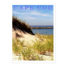 Cape Cod Dune Post Card