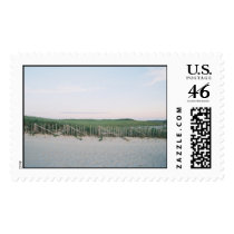 Cape Cod Dune postage