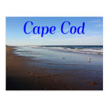 Cape Cod, Massachusetts Nauset Beach Postcard
