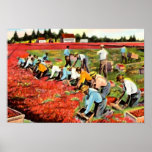 Cape Cod Massachusetts Posters