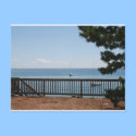 Cape Cod Postcard