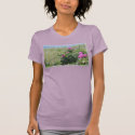 Cape Cod Roses t-shirts by alyciakeating Cape Cod Roses t-shirts