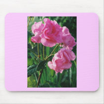 Cape Cod Summer mousepads