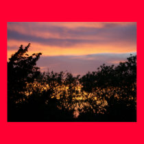 Cape Cod Sunset posters