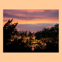 Cape Cod Sunset posters