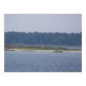 Cape Fear River posters by traxtech Cape Fear River posters