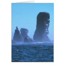 Cape Flattery Greeting Cards