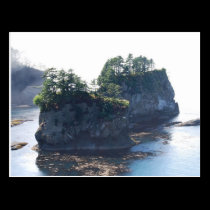 Cape Flattery postcards