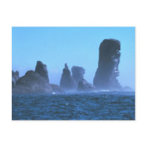 Cape Flattery Post Cards